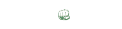 LOGO BOGEM10
